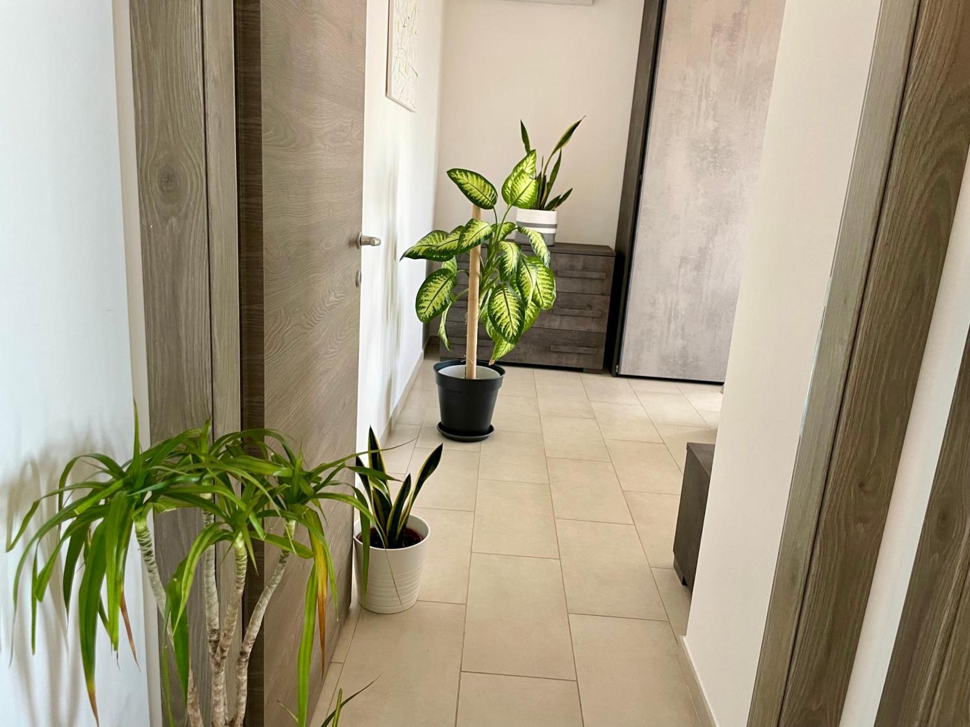 Greenchill House - West Roma