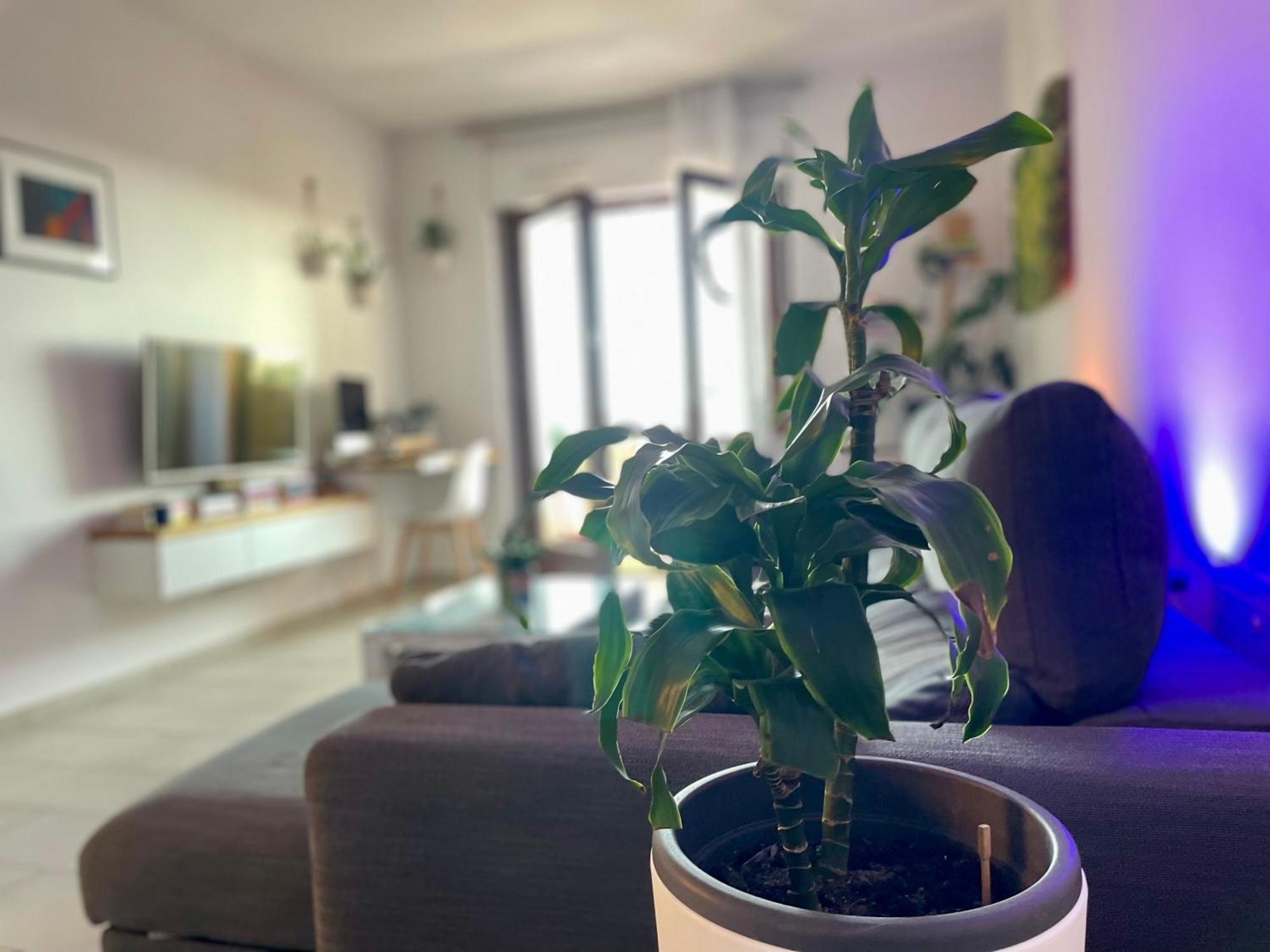 Greenchill House - West Apartamento
