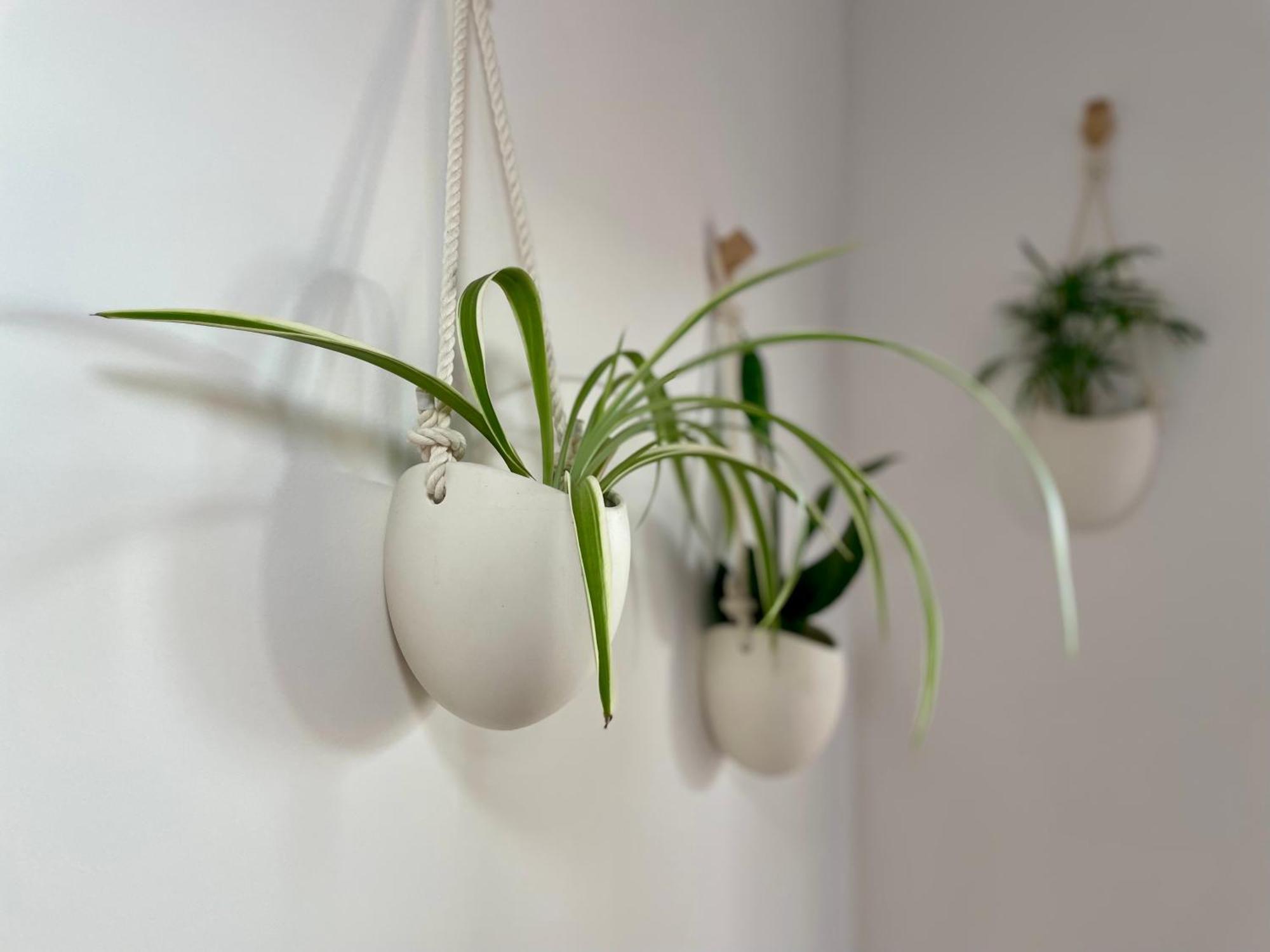 Apartamento Greenchill House - West *